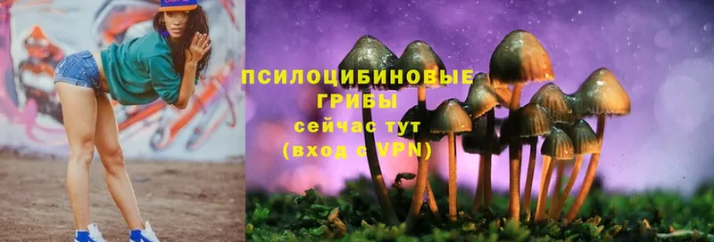 Галлюциногенные грибы MAGIC MUSHROOMS Агрыз